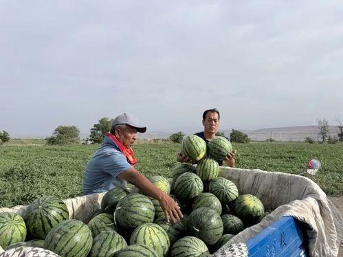 东市场吃瓜,探寻老街美食风情