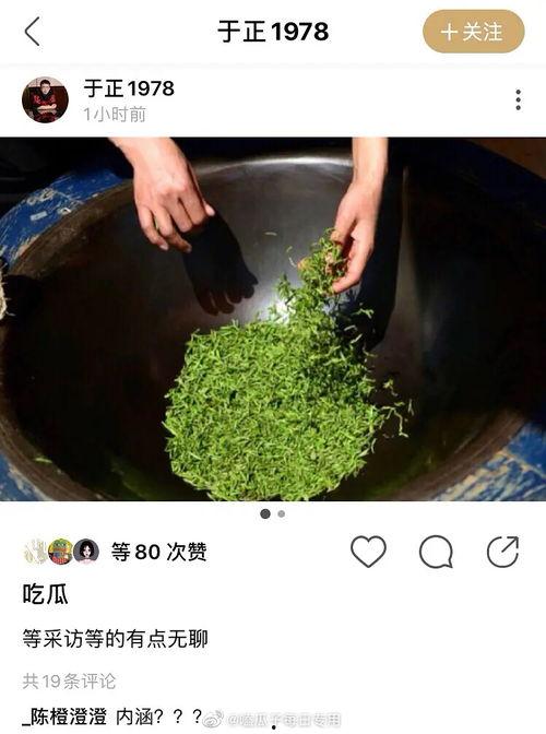 吃瓜资源赵,吃瓜资源背后的故事与影响