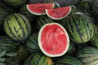 如何买吃瓜,教你如何挑选美味瓜果