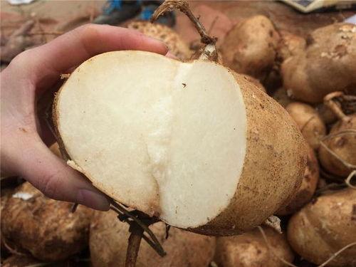 吃土到吃瓜,社会变迁下的消费心理演变