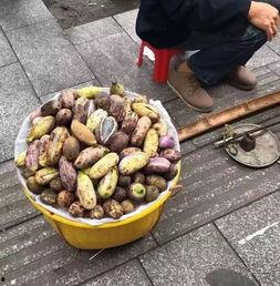 吃瓜群里发的东西,一场网络狂欢背后的真相