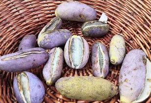 吃瓜群里发的东西,一场网络狂欢背后的真相