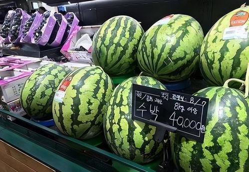 韩国瓜吃的,揭秘韩国美食的独特魅力