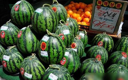 韩国瓜吃的,揭秘韩国美食的独特魅力