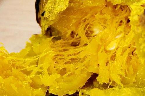 减肥吃板栗瓜行吗