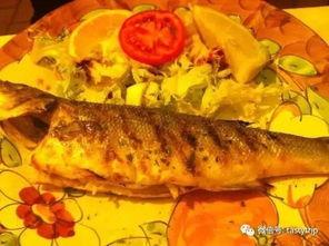 罗马复兴吃瓜鸭,吃瓜鸭视角下的帝国传奇