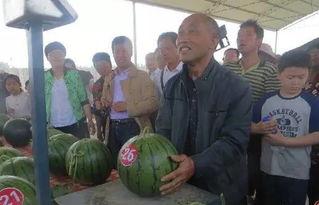 黄人瓜怎么吃最好,解锁美味新境界