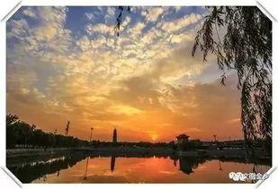 金乡吃瓜晴晴,揭秘瓜农生活，品味乡村风情