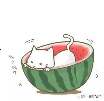 吃瓜卡通头像,揭秘吃瓜卡通头像的趣味魅力