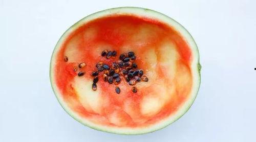 吃瓜超薄勺子图片,一勺尽享清爽夏日