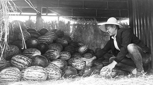 余杭吃瓜群众案件,揭秘网络谣言背后的真相