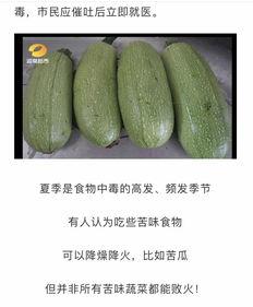 湖南绿茵瓜怎么吃,湖南绿茵瓜的多样食法探索