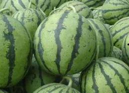 早餐吃梨瓜减肥吗,轻松开启健康生活