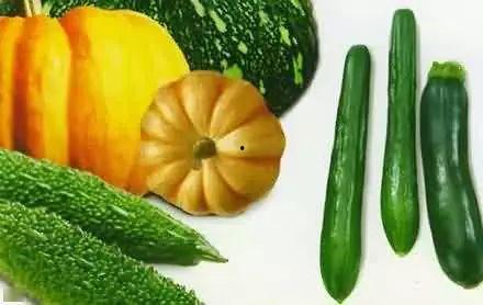 马务单人吃瓜,一个人的悠闲午后