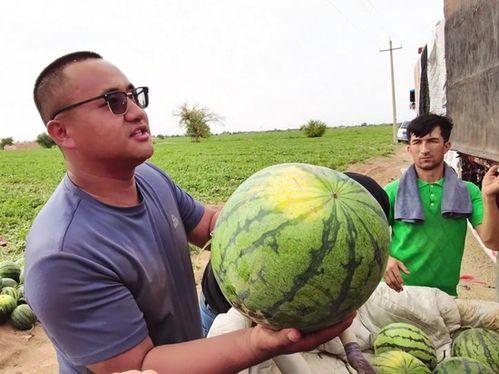 马务单人吃瓜,一个人的悠闲午后