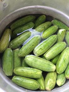 小角瓜怎么做着吃,家常烹饪新尝试