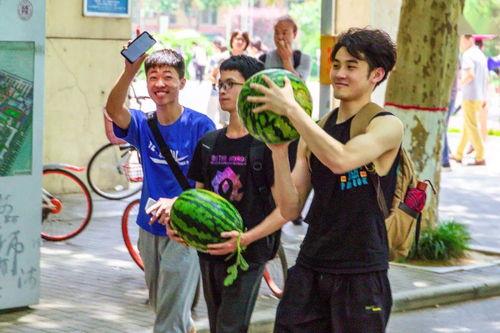 安师大学吃瓜,揭秘校园里的那些“瓜”