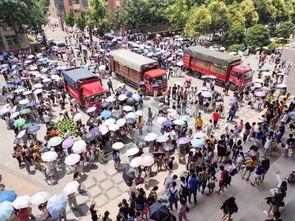 安师大学吃瓜,揭秘校园里的那些“瓜”