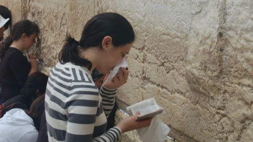 娱乐吃瓜君5,揭秘娱乐圈最新热点，带你领略明星幕后故事