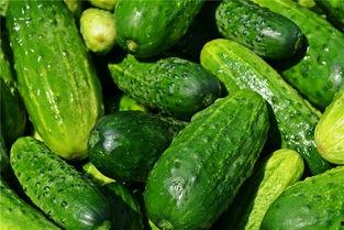 梦见自己种瓜吃瓜,种瓜得瓜，收获幸福滋味