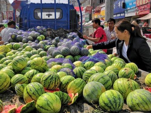 南方人吃瓜,瓜果飘香，共享清凉时光
