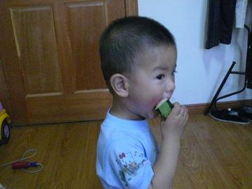 动物吃小猪的瓜