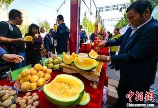 广西人最近吃瓜,最新“瓜”事速览，一网打尽本地新鲜趣闻