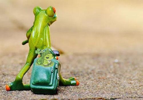 蛙岛吃瓜vip,揭秘VIP会员的独特体验与福利