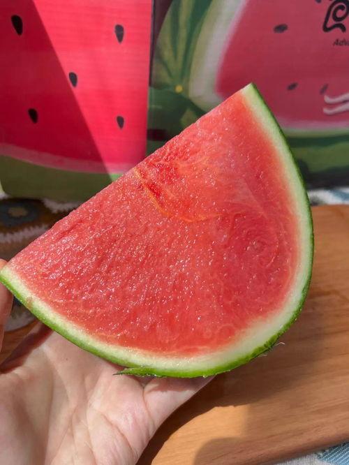 摆烂吃皇帝瓜,揭秘“吃皇帝瓜”的奥秘