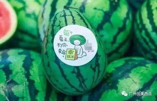 瓜棚吃瓜看彩虹,夏日田园诗意时光