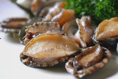 吃佛手瓜可以吃鲍鱼吗,探寻食材搭配的奇妙之旅