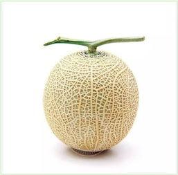 吃瓜过瘾,吃瓜过瘾，揭秘明星幕后故事