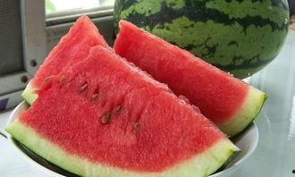 吃瓜比赛推文,吃瓜比赛热度飙升，全民瓜农竞技狂欢