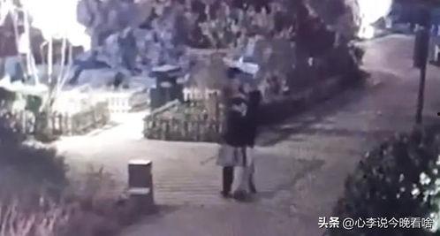 兰州高校吃瓜事件视频,一场校园网络热议的真相揭秘