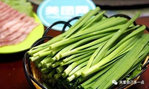 吃凉瓜还是韭菜好消化,消化吸收的较量，哪一种更胜一筹？”