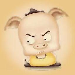 孤单的吃瓜,揭秘网络时代的独孤求败