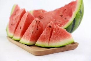 夏天吃瓜歌,跟着“夏天吃瓜歌”畅享清凉时光