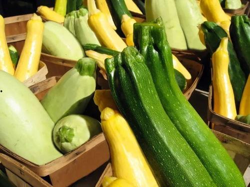 夏天吃瓜歌,跟着“夏天吃瓜歌”畅享清凉时光