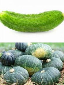 选择吃瓜,揭秘娱乐圈的甜蜜与苦涩