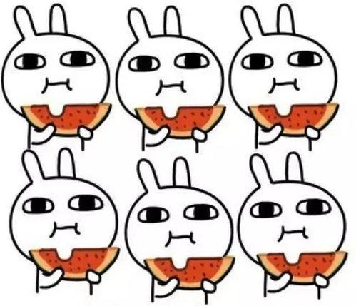 嗷大猫吃瓜图片,萌态十足，网友直呼可爱爆表！