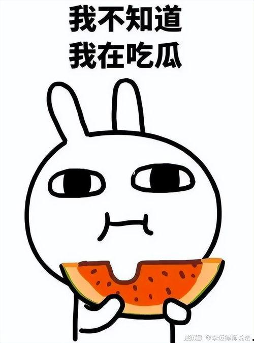 嗷大猫吃瓜图片,萌态十足，网友直呼可爱爆表！