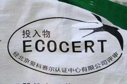 吃瓜爬树,揭秘娱乐圈的幕后故事