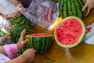 广西最新吃瓜视频,揭秘街头美食风云录