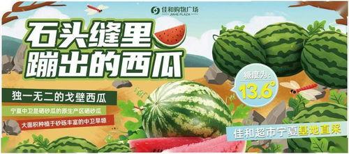 逆水寒假赛吃瓜,吃瓜群众围观电竞盛宴