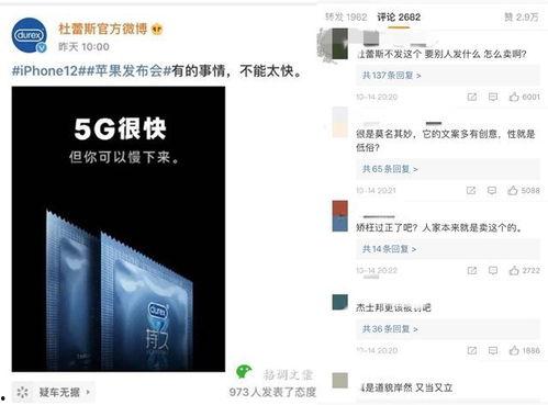 吃瓜前任的文案,揭秘那些被遗忘的甜蜜与苦涩