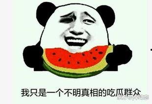 吃瓜协会事件,揭秘网络舆论的狂欢与反思