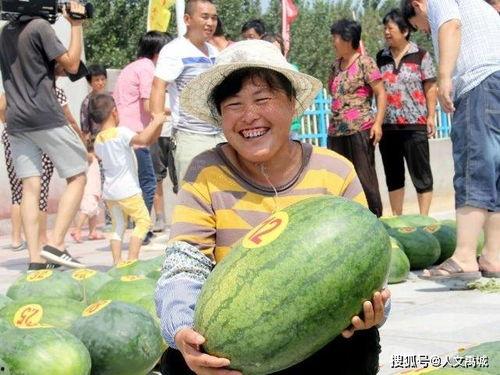 成都沙河会吃瓜,瓜田里的夏日风情与美食故事