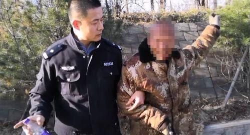 宝泉岭六队吃瓜事件,一场引发热议的社区冲突纪实