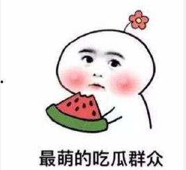 吃瓜群众的诗,品味人间烟火