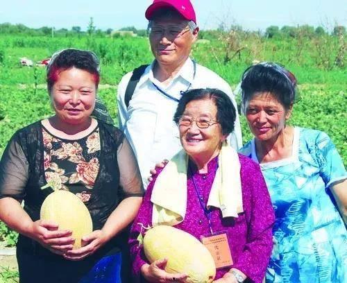 教师最近吃瓜,揭秘校园里的“瓜田”趣事